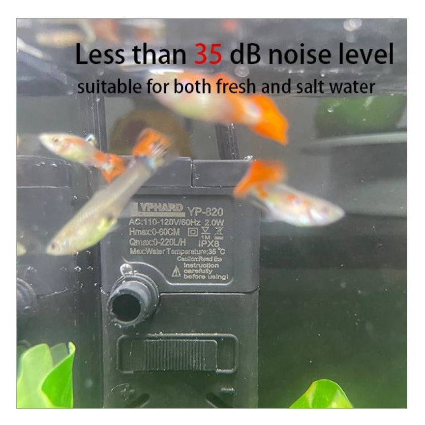 Mini Aquarium Set Fish Tank