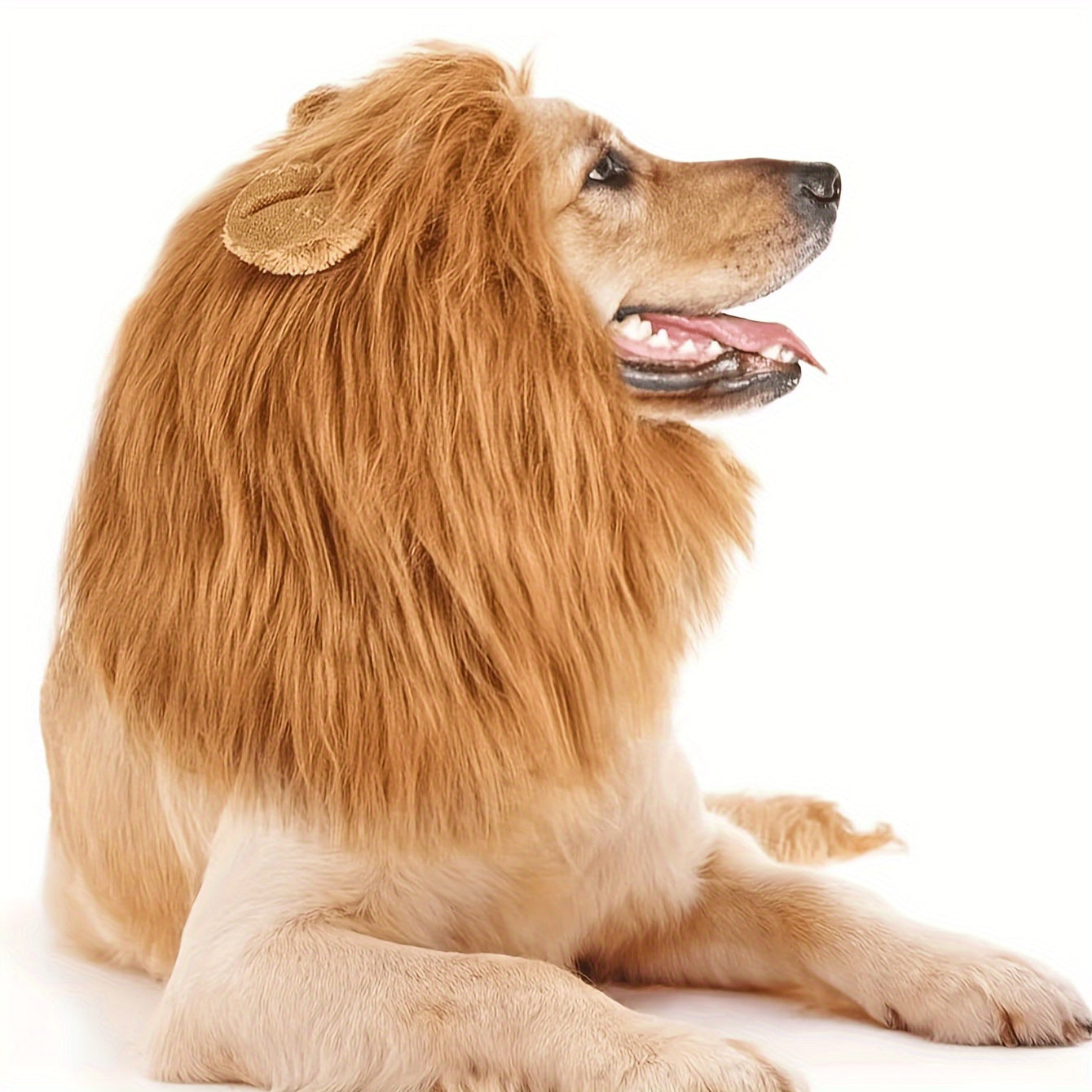 1pc Realistic Lion Mane Costume