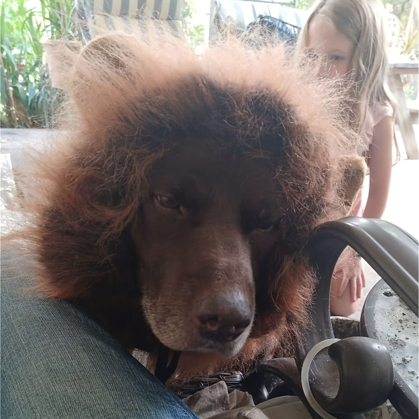 1pc Realistic Lion Mane Costume