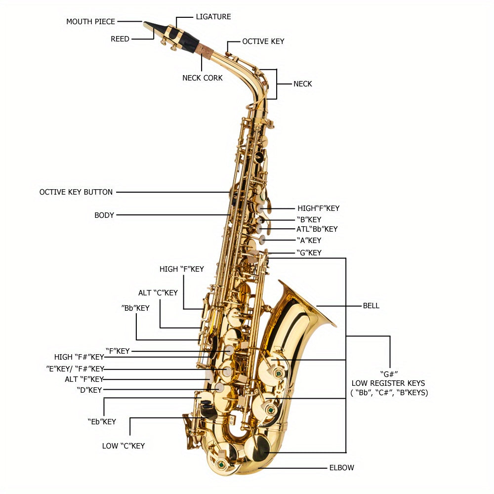 E-flat tenor saxophone