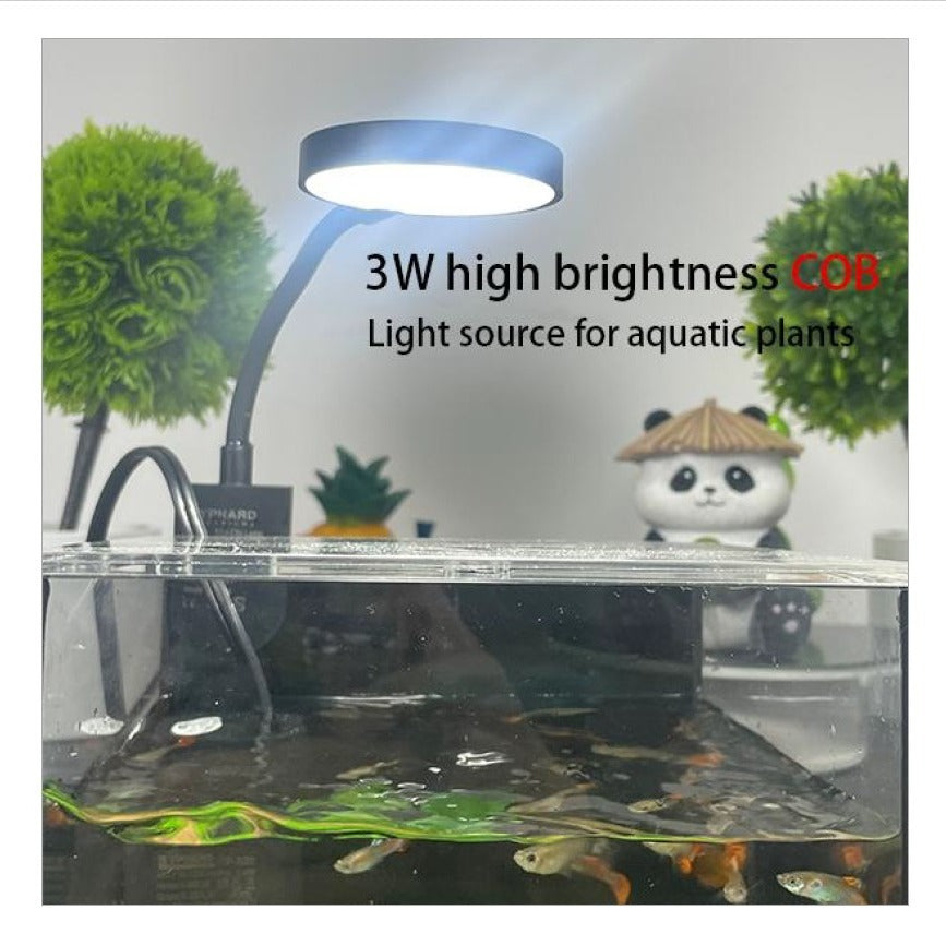 Mini Aquarium Set Fish Tank