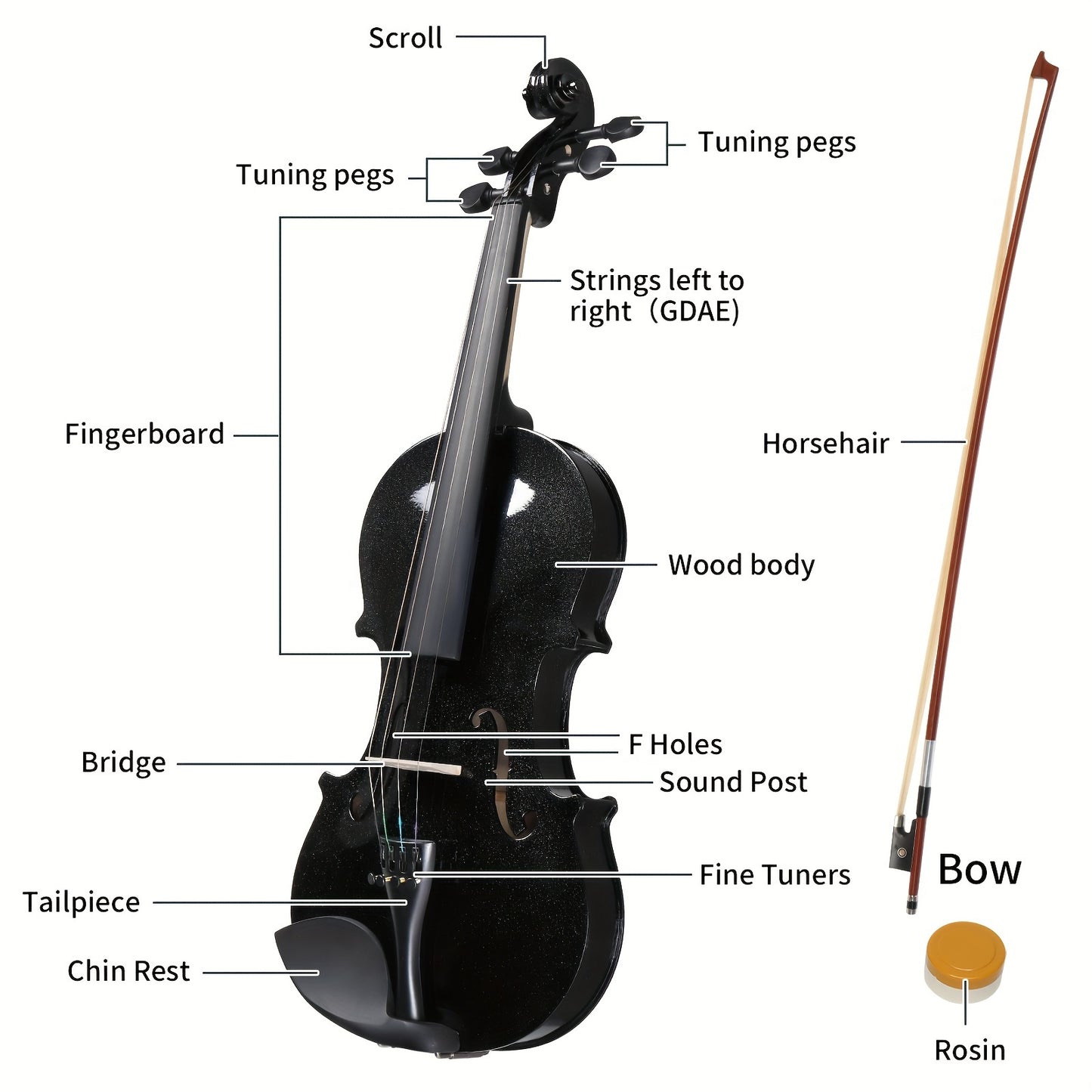 Full-Size 4/4 Violin - High-Quality Basswood