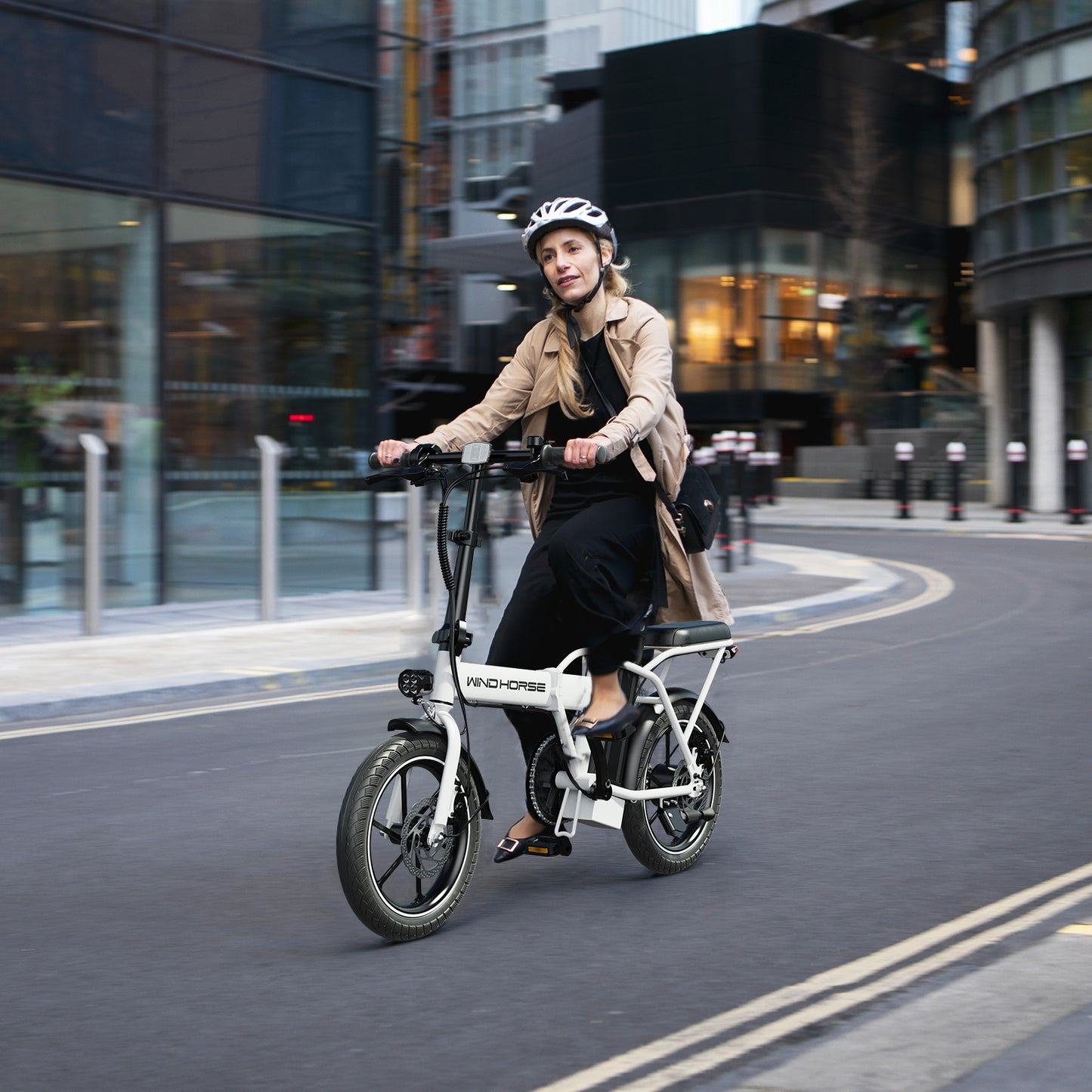 Electric Bike Adult with Adjustable Seat