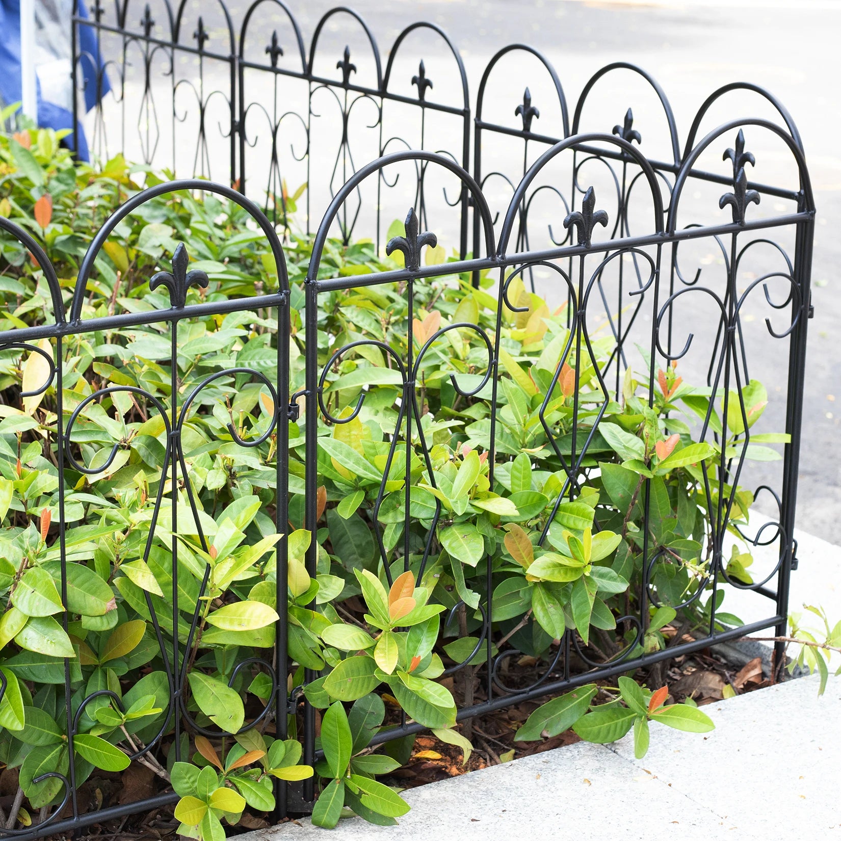 Large Decorative Garden Fence Outdoor - Heidi Ho Your Wellness Pro