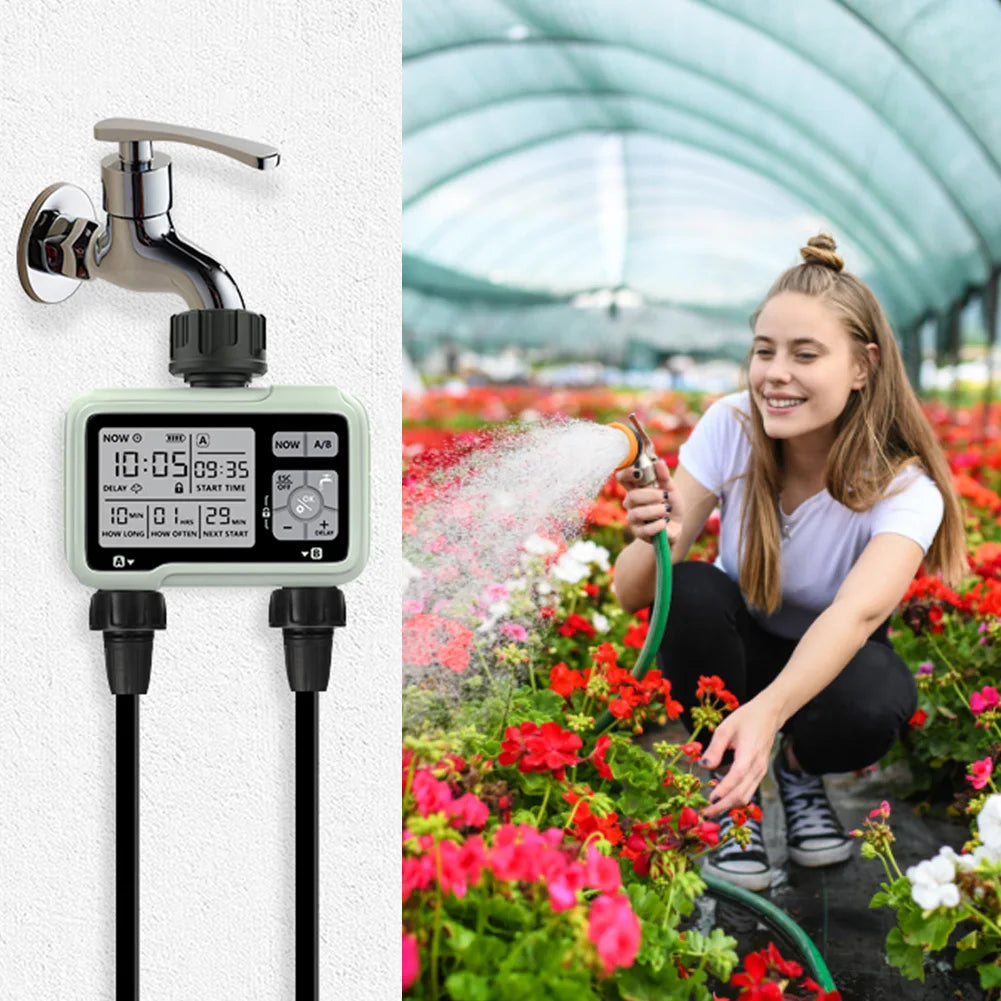 Ball Irrigation Device Pump Timer System - Heidi Ho Your Wellness Pro