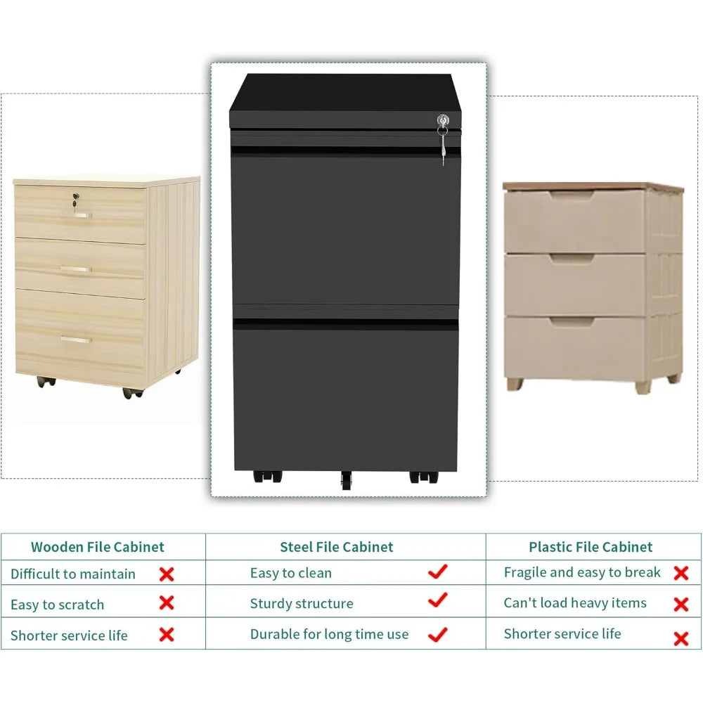 2-Drawer Vertical File Cabinet - Heidi Ho Your Wellness Pro