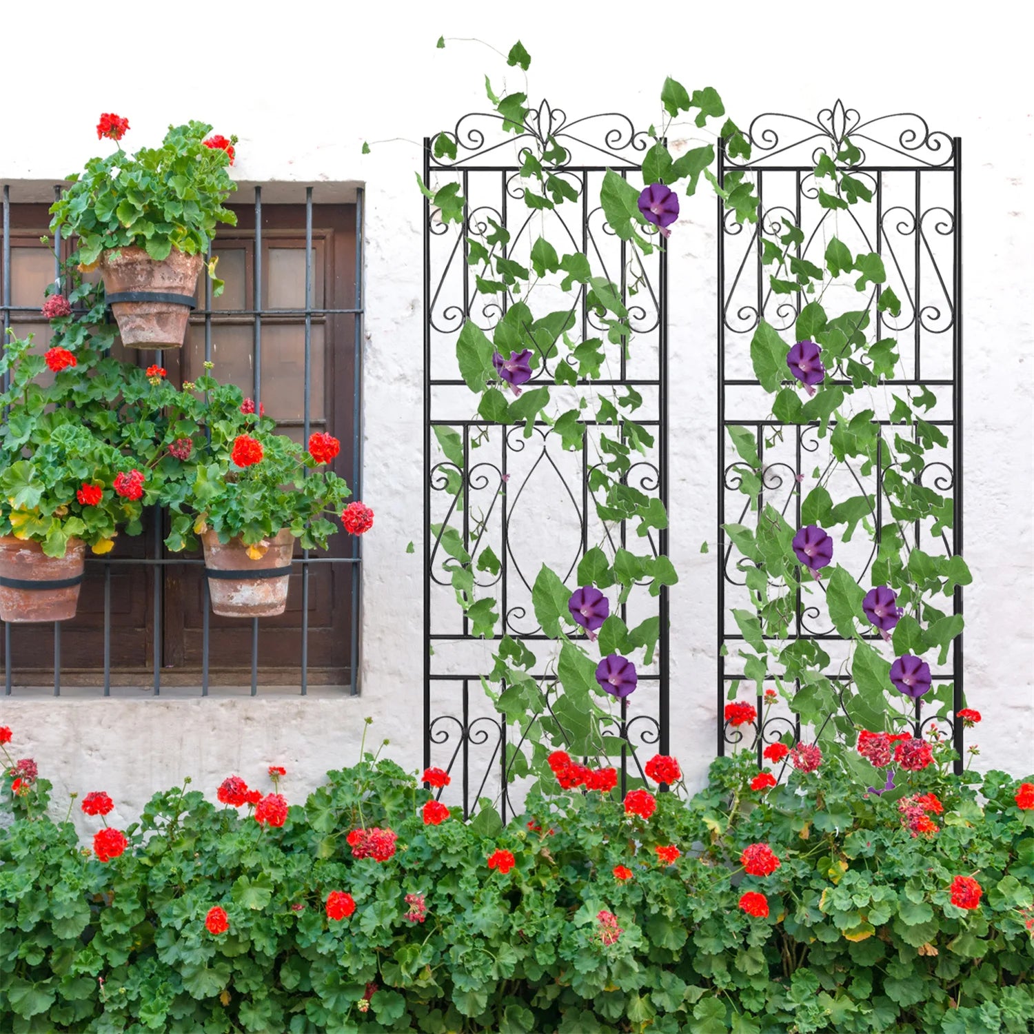 2PCS Tall Metal Garden Trellis Fence - Heidi Ho Your Wellness Pro