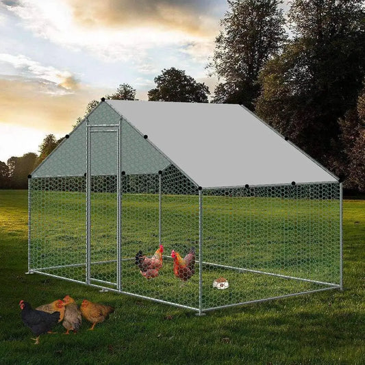 Large Chicken Coop Walk-in Metal - Heidi Ho Your Wellness Pro