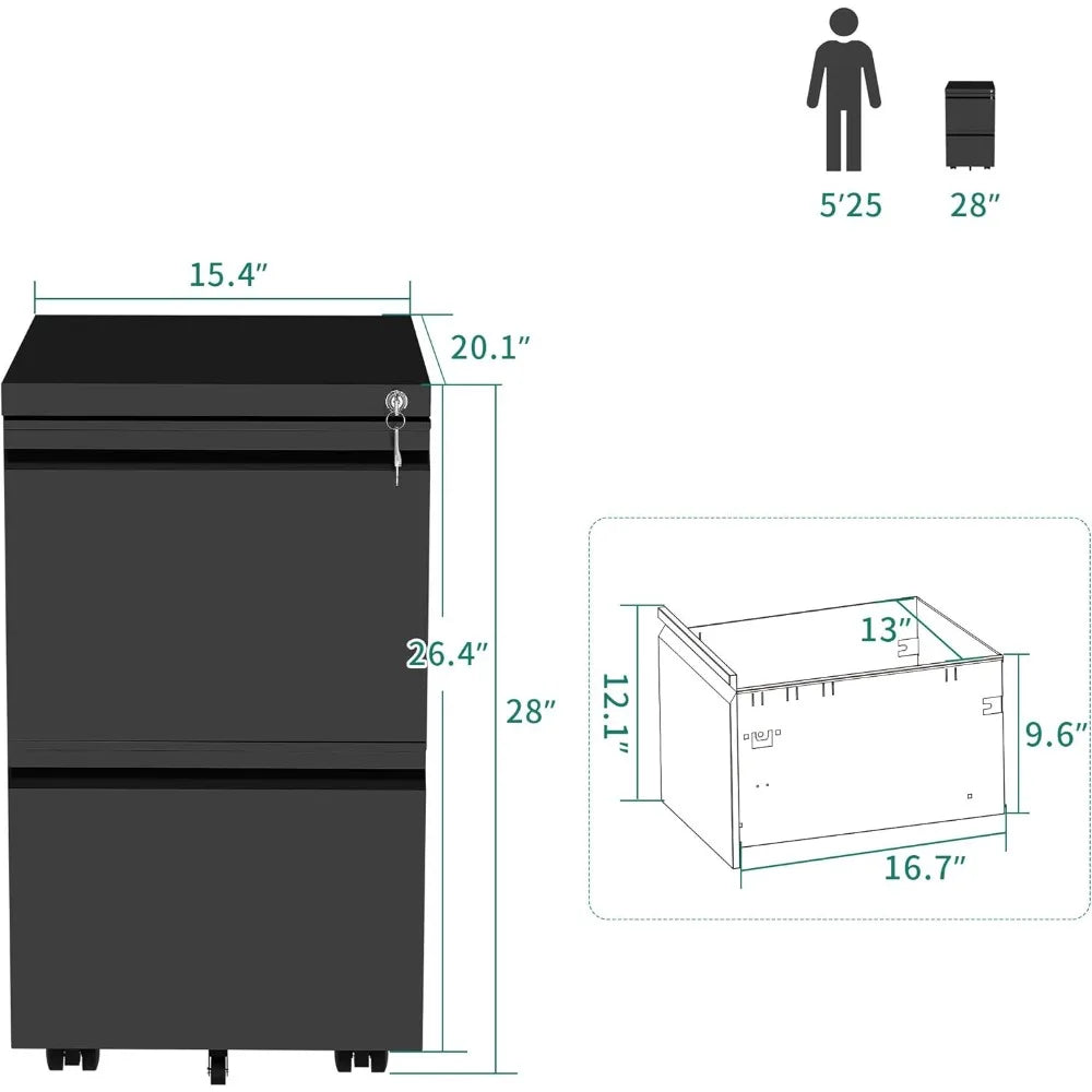 2-Drawer Vertical File Cabinet - Heidi Ho Your Wellness Pro