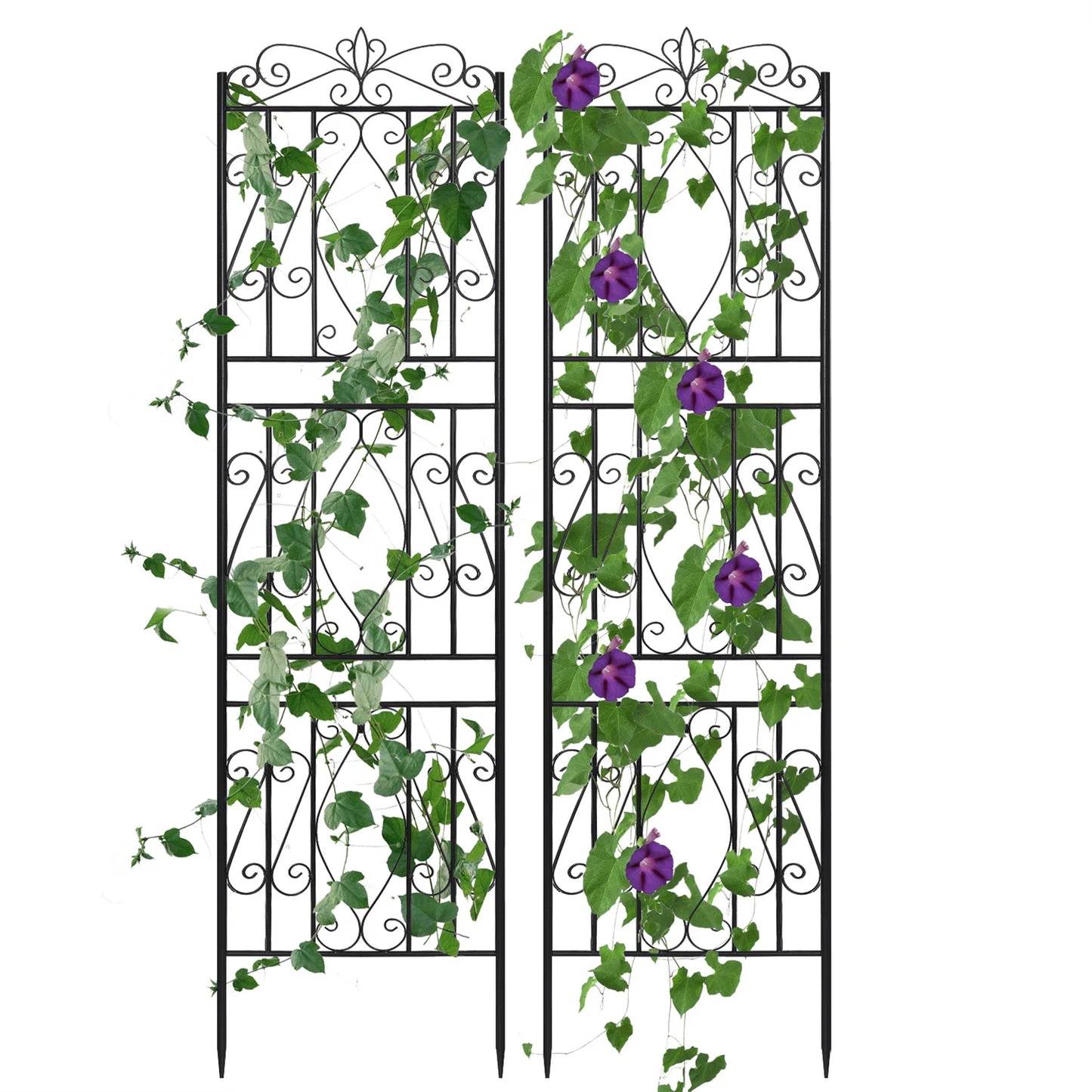 2PCS Tall Metal Garden Trellis Fence - Heidi Ho Your Wellness Pro