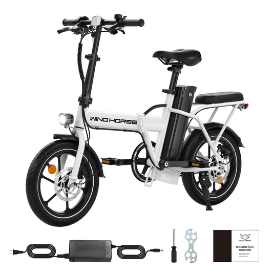 Electric Bike Adult with Adjustable Seat